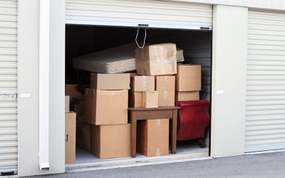 Mold, The Dreaded Threat: Four Steps To Keep It From Appearing In Your Storage Unit